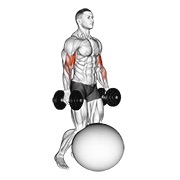 bučice klečeći biceps pregibi na lopti za vježbanje — fitness vježba