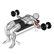bučice ležeći široki pregibi — fitness vježba