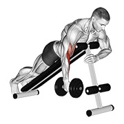 bučice jednoručni čekić pregibi na trbuhu — fitness vježba