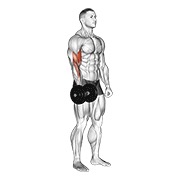 jednoručni stojeći pregibi s bučicom — fitness vježba