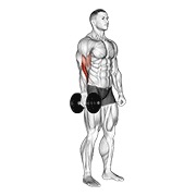 jednoručni stojeći pregibi čekićem s bučicom — fitness vježba