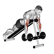 pregibi čekićem s bučicama ležeći na pozitivnoj klupi — fitness vježba
