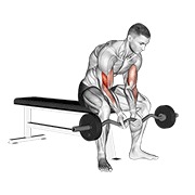 sjedeći koncentracijski pregibi uskim hvatom s EZ šipkom — fitness vježba