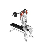 ekstenzije za triceps uskim hvatom iza vrata sjedeći sa šipkom — fitness vježba
