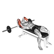 ekstenzije za triceps iza glave ležeći sa šipkom — fitness vježba