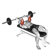 skull crusher obrnutim hvatom sa šipkom — fitness vježba