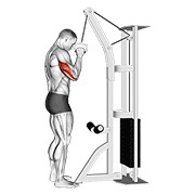 pushdown za triceps jednom rukom na sajli — fitness vježba