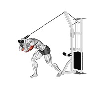 ispružanje tricepsa iznad glave s gornje sajle (s užetom) — fitness vježba
