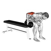 sjedeće ispružanje tricepsa u pretklonu s bučicama — fitness vježba