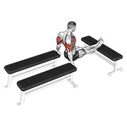 dips na tri klupe — fitness vježba