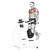 dipovi za triceps s utegom — fitness vježba
