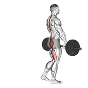 jednonožno mrtvo dizanje sa šipkom — fitness vježba