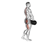 jednonožno mrtvo dizanje s bučicama — fitness vježba