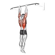 zgibanje hvatom u širini ramena — fitness vježba