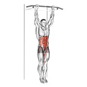 viseće podizanje nogu i kukova — fitness vježba