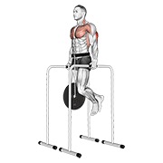 dip za triceps na visokim paralelnim šipkama s utegom — fitness vježba