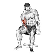 koncentracijski pregibi za biceps nogom — fitness vježba