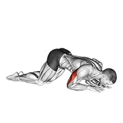 klečeće ispružanje tricepsa vlastitom težinom — fitness vježba