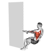 jednoručno veslanje s ručnikom — fitness vježba