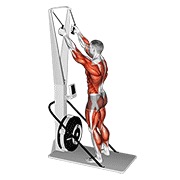 skijaški ergometar — fitness vježba