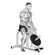 stiskanje hvatača na spravi — fitness vježba