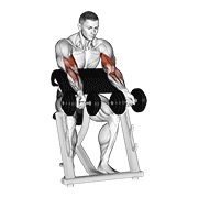 zottman preacher pregibi s bučicama — fitness vježba