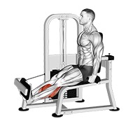 rotacijsko podizanje listova na spravi — fitness vježba