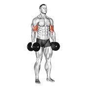 stojeći pregibi unutarnjeg bicepsa s bučicama v. 2 — fitness vježba