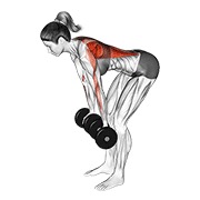veslanje obrnutim hvatom s bučicama — fitness vježba