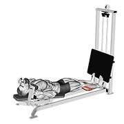 potisak listova ležeći na saonicama — fitness vježba