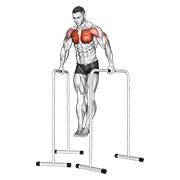 dipovi za prsa širokim hvatom na visokim paralelnim šipkama — fitness vježba
