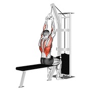 bočni pulldown na sajli s V-ručkom — fitness vježba