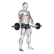 stojeći biceps pregibi širokim hvatom s EZ šipkom — fitness vježba