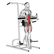 podizanje ravnih nogu na captain's chair — fitness vježba