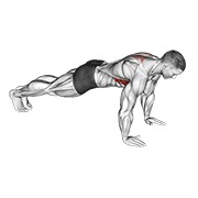 skapularni sklek — fitness vježba