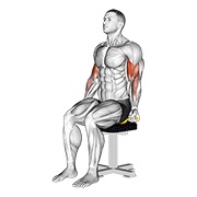 sjedeći pregibi bicepsa s elastičnom trakom — fitness vježba