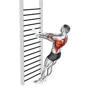 stojeće veslanje vlastitom težinom (s ručnikom) — fitness vježba