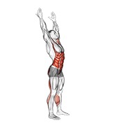 dodir prstiju s jedne na drugu stranu (muško) — fitness vježba