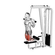 obrnuti pregibi nogu uz pomoć sajle — fitness vježba