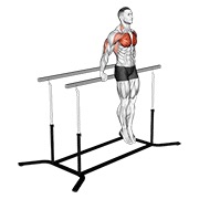 korejski dips — fitness vježba