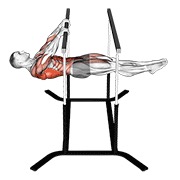 front lever ponavljanja — fitness vježba