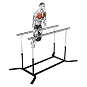 dipovi na ravnoj šipci s utegom — fitness vježba