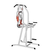 L-zgibovi — fitness vježba