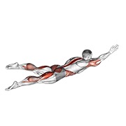plivački udarci v. 2 (muško) — fitness vježba