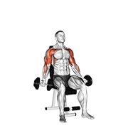 sjedeći biceps pregibi u potisak za ramena s bučicama — fitness vježba