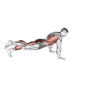 power point plank — fitness vježba