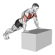sklek na povišenju (na boxu) — fitness vježba