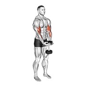 waiter biceps pregibi s bučicom — fitness vježba